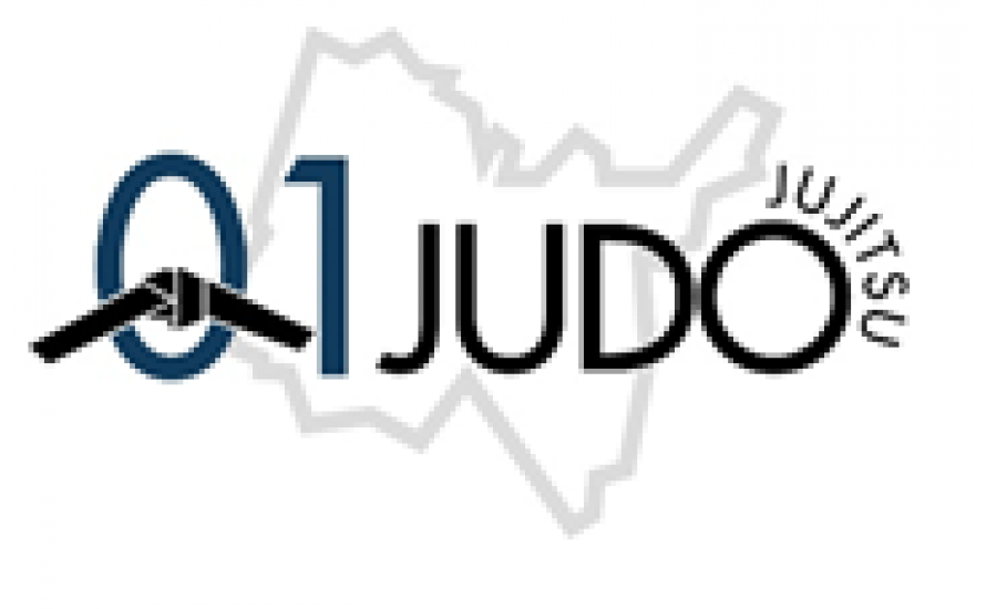 Logo du AIN JUDO